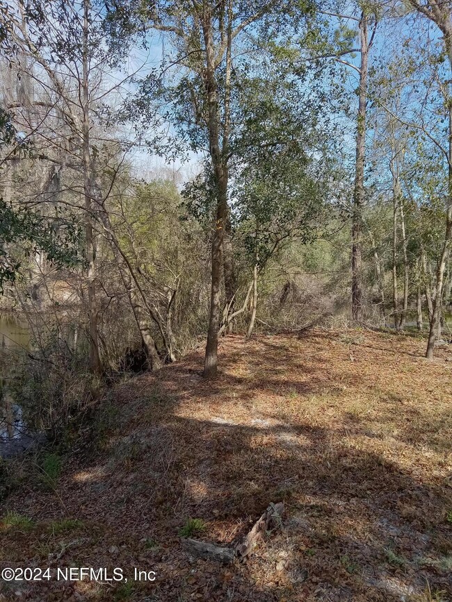 2905 Creek St, Middleburg, FL 32068 - photo 4