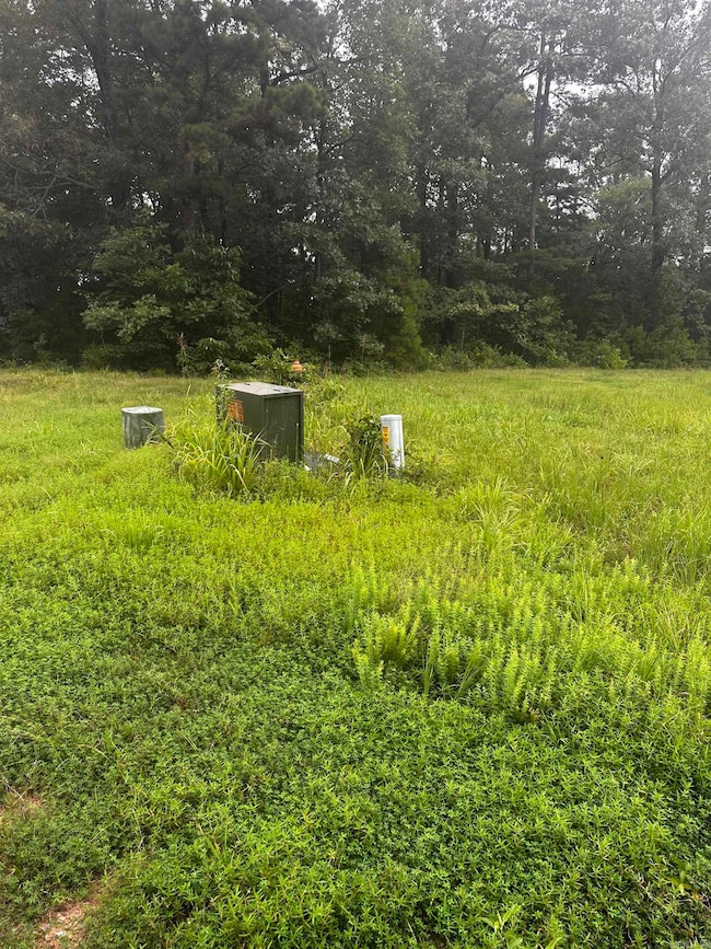 Lot 70 Cobalt Bay Dr, Shirley, AR 72153 - photo 4