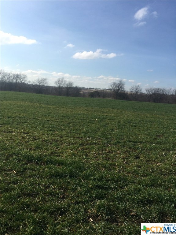 11621 Willow Grove Rd, Moody, TX 76557 - photo 7