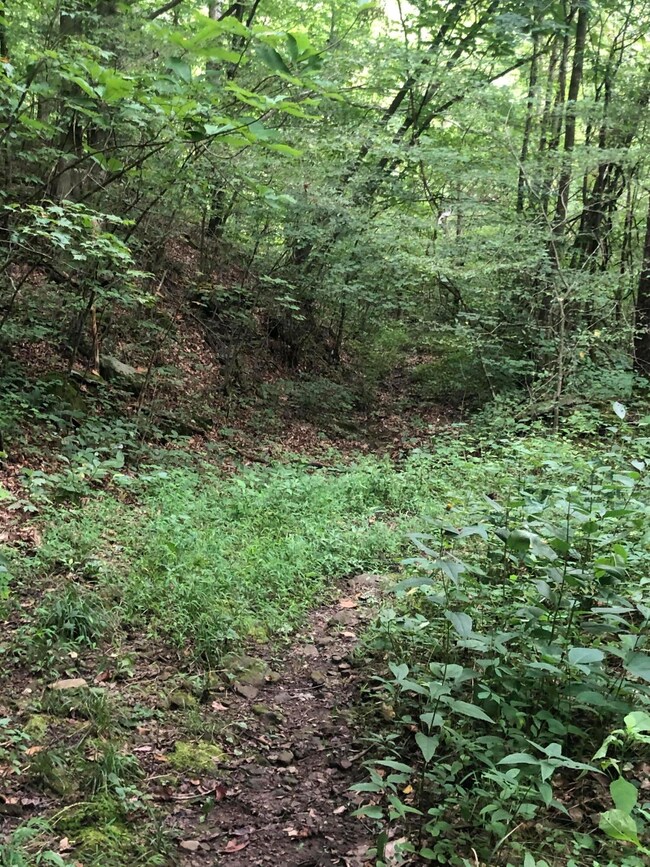 ED9AD577-9667-4D1D-8D6C-138AE11DA785