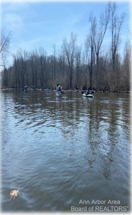 8269 Huron River Dr, Dexter, MI 48130 - photo 6