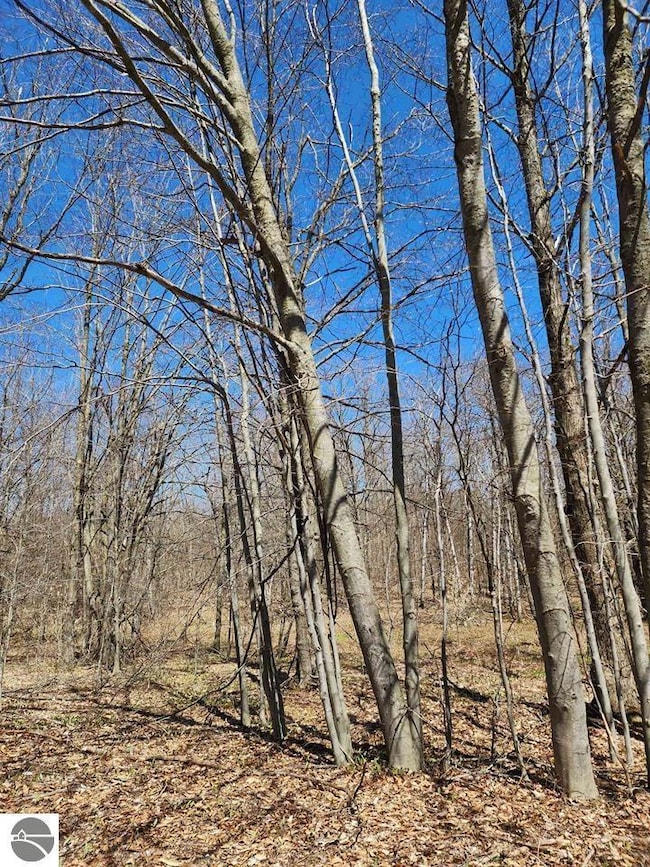 VL Wilamont Cir, Lakes of the North, MI 49659 - photo 5