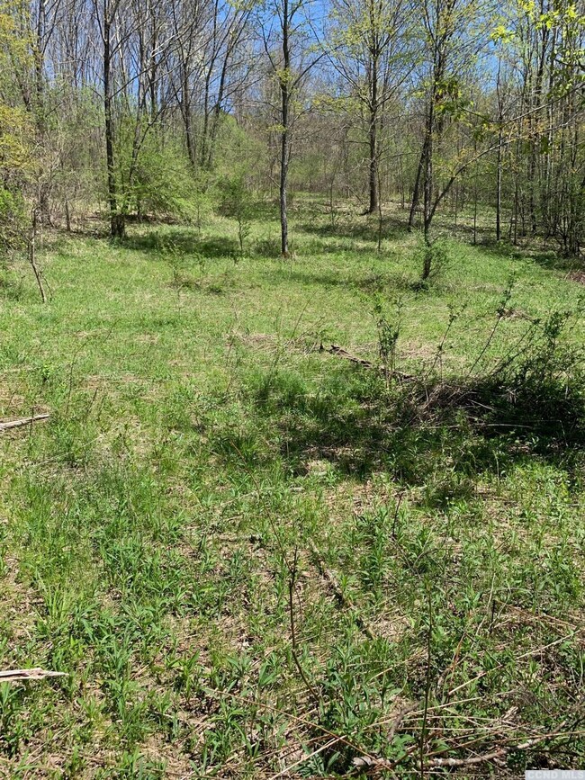 0 Goetz Rd, Canaan, NY 12060 - photo 4