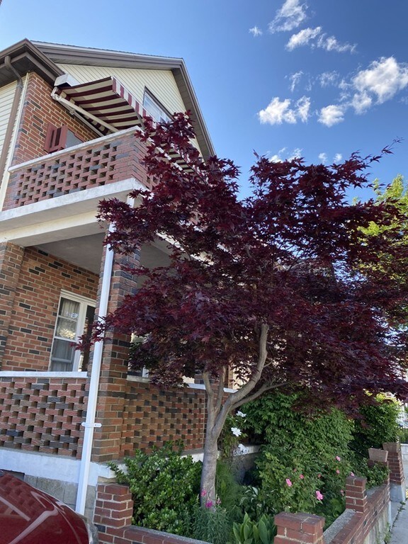 10 Brimmer St unit 1, Watertown, MA 02472 - photo 2