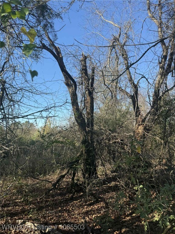 Tract 13 Lakeview Dr, Spiro, OK 74959 - photo 5