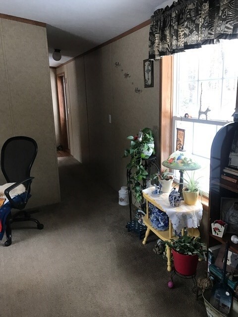 17 Welch Dr, Plymouth, NH 03264 - photo 2