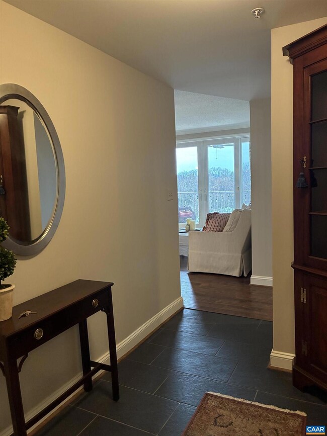 500 Crestwood Dr unit 2403, Charlottesville, VA 22903 - photo 3