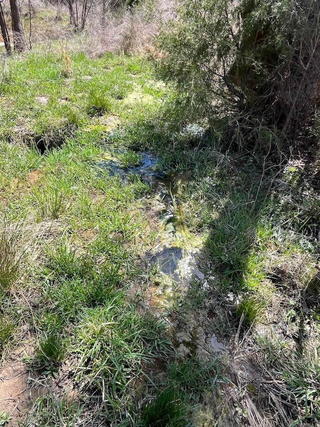 9205 Highway 9, Melbourne, AR 72556 - photo 7