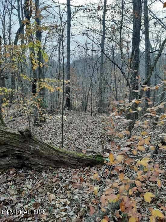 Old Hearth Dr