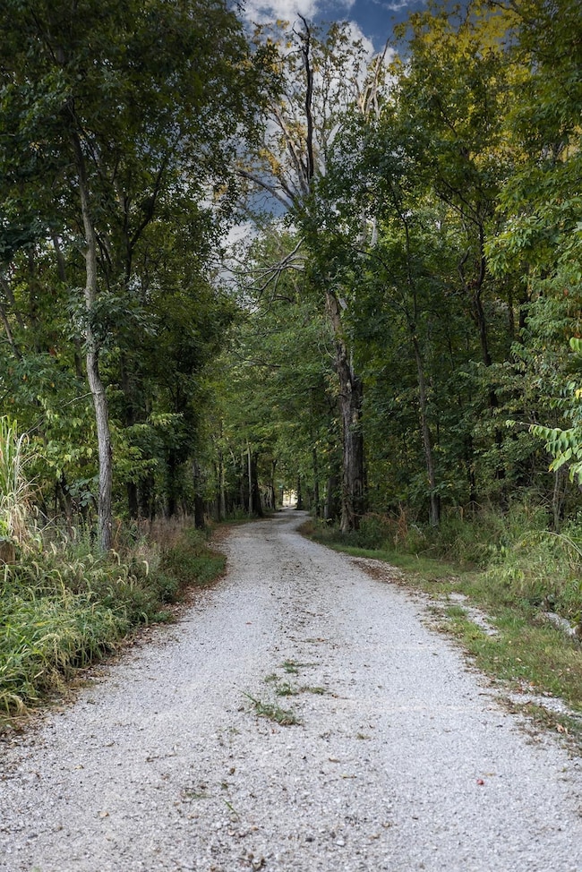 6548 Jimtown Rd, Oakdale, IL 62268 - photo 3