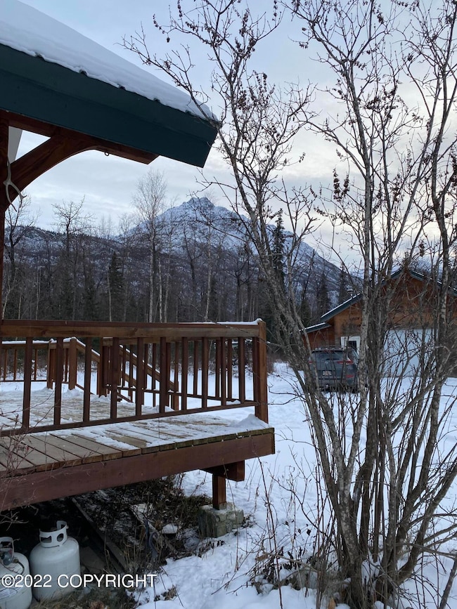 Cabin Shop View