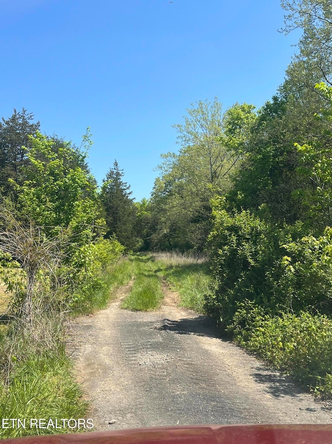 9406 Heiskell Rd, Heiskell, TN 37754 - photo 3