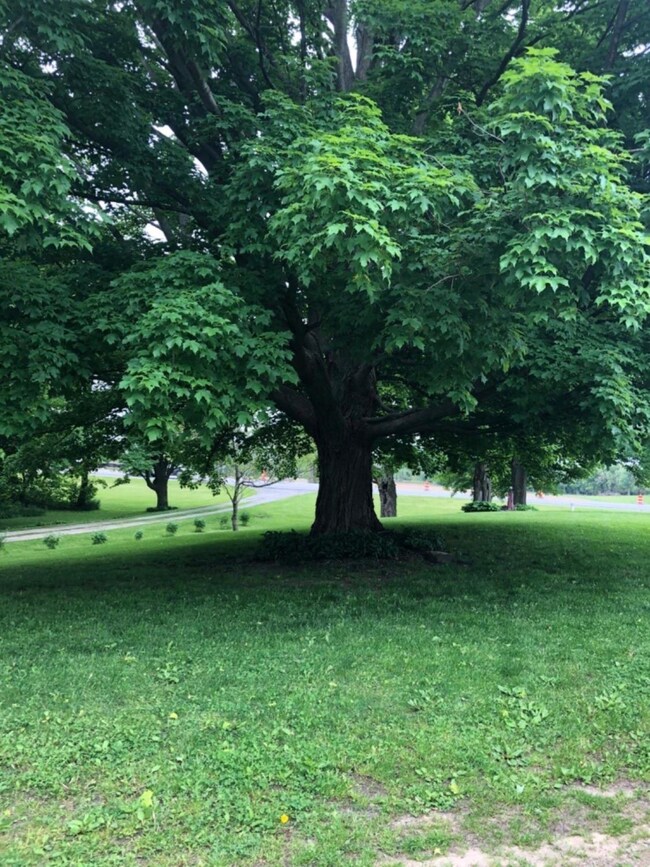 1333 E Us Highway 20, La Porte, IN 46350 - photo 3