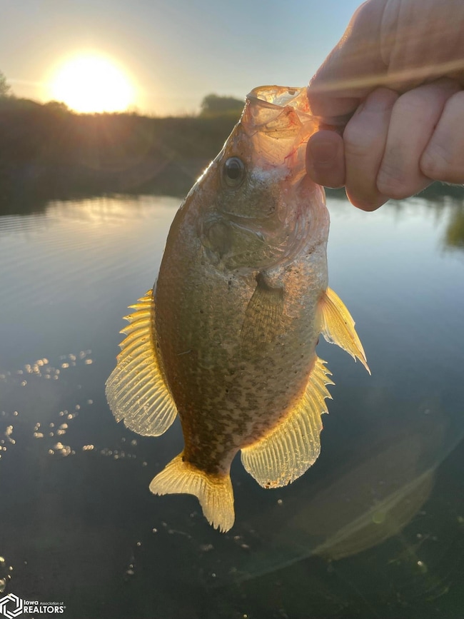 3215 305th St, Dows, IA 50071 - photo 3