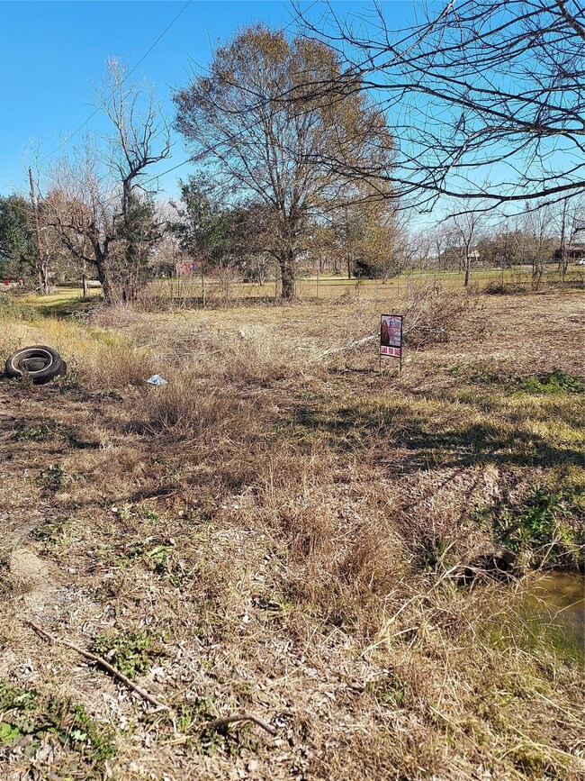 0 Tye Ln, Pearland, TX 77584 - photo 5