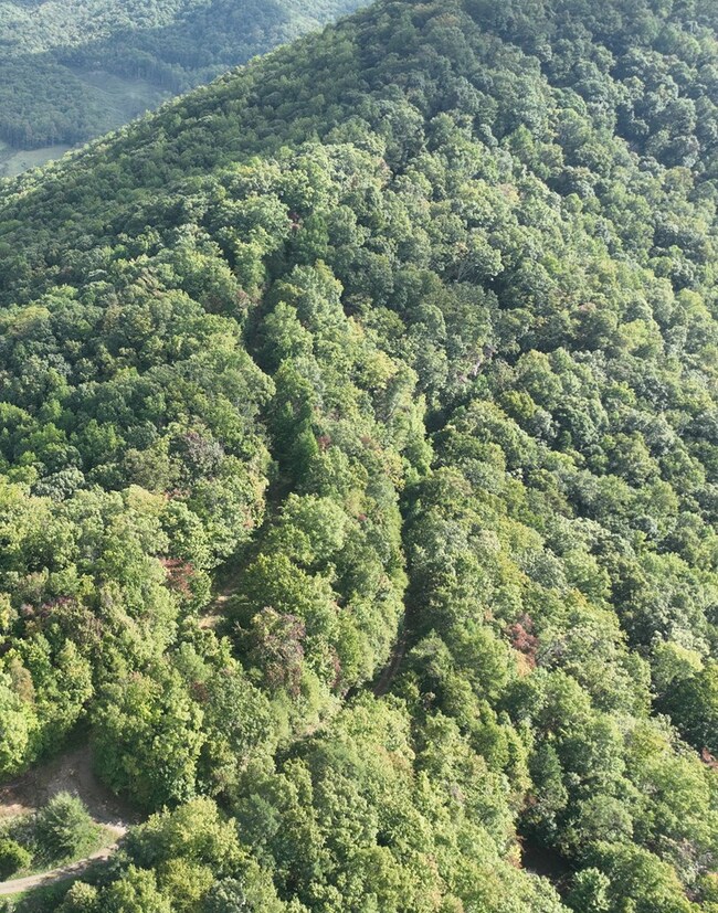 0 Burnt Leaf Ln unit 419226, Shooting Creek, NC 28904 - photo 2