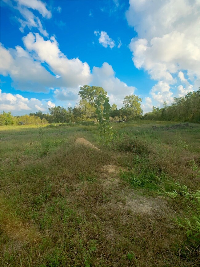 3503 County Road 161, Alvin, TX 77511 - photo 4