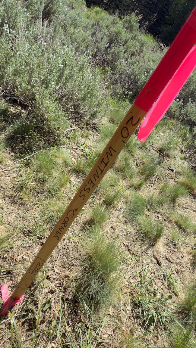 Brown Eastfork Lot 060425 19