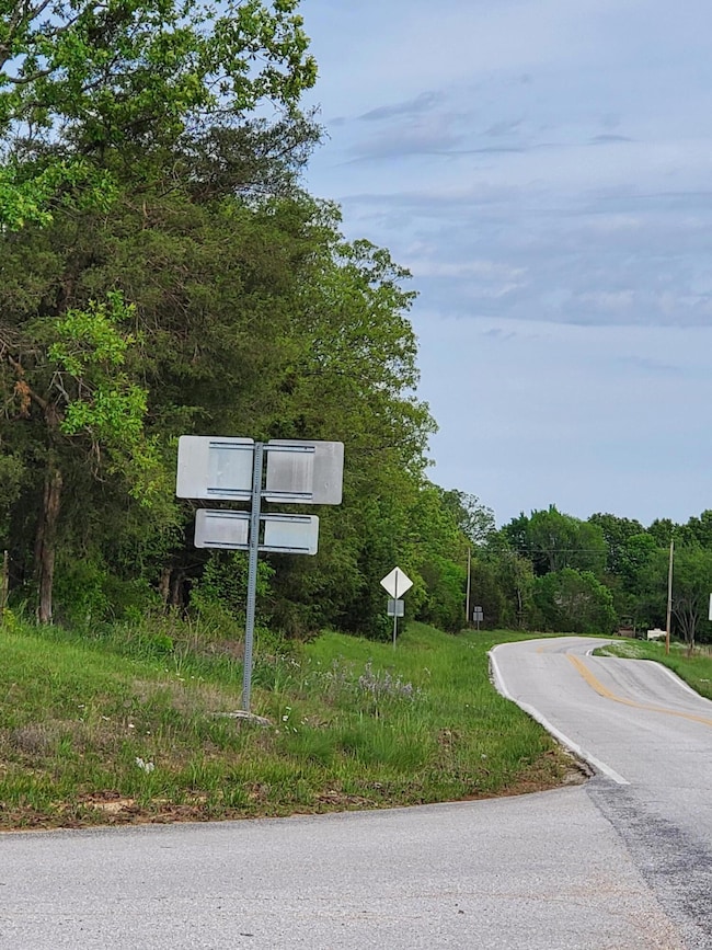 000 Missouri 125, Garrison, MO 65657 - photo 4