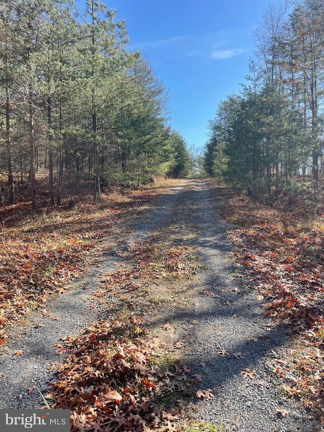 0 Hannah Ct unit WVHS2007060, Yellow Spring, WV 26865 - photo 2