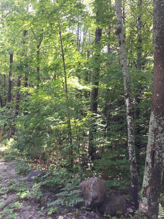 0 Doles Ridge Rd, Limerick, ME 04048 - photo 5