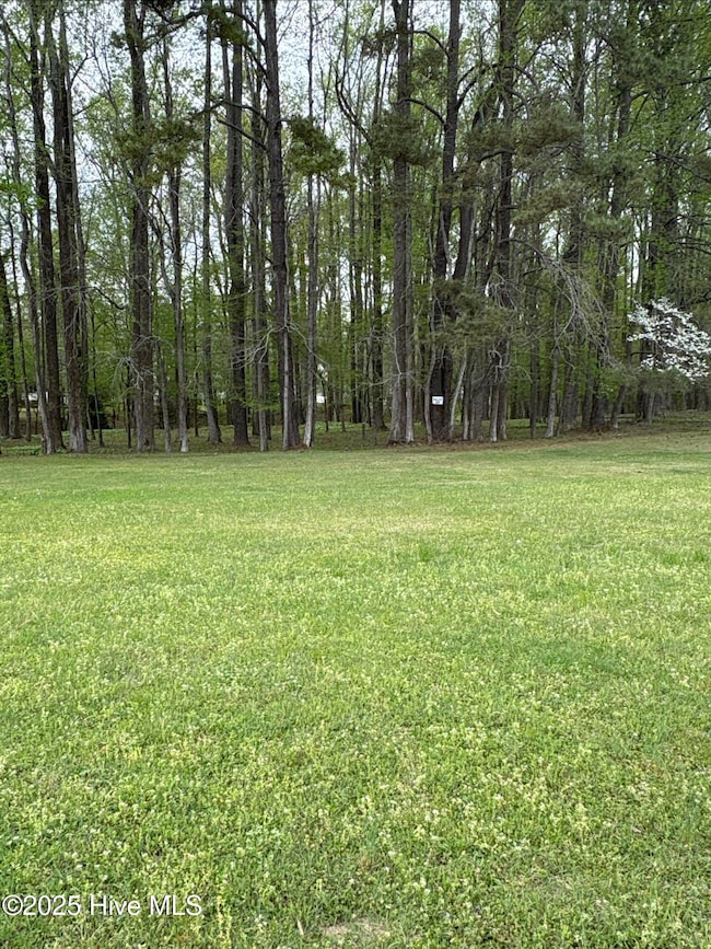 photo (6)