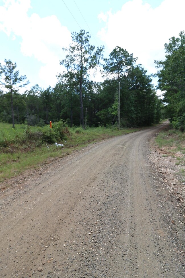 AB985 TR85 County Road 1028, Newton, TX 75966 - photo 4