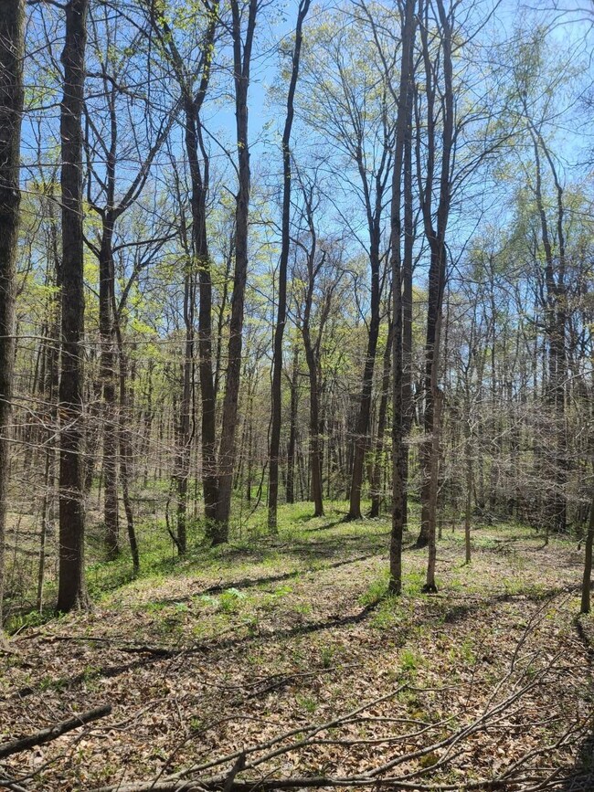 9106 Davison Rd, Oldenburg, IN 47036 - photo 6