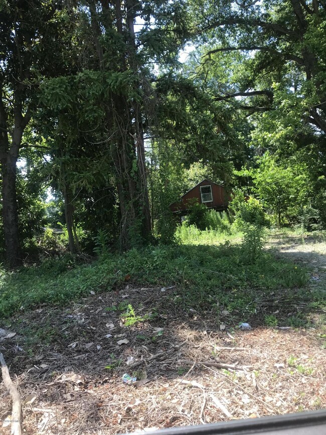 1205 Brices Creek