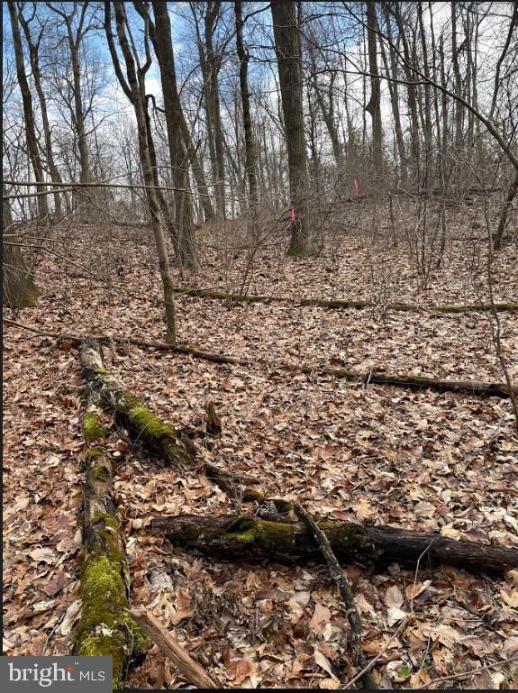 0 Sweitzer Rd unit PABK2026312, Mohnton, PA 17540 - photo 7