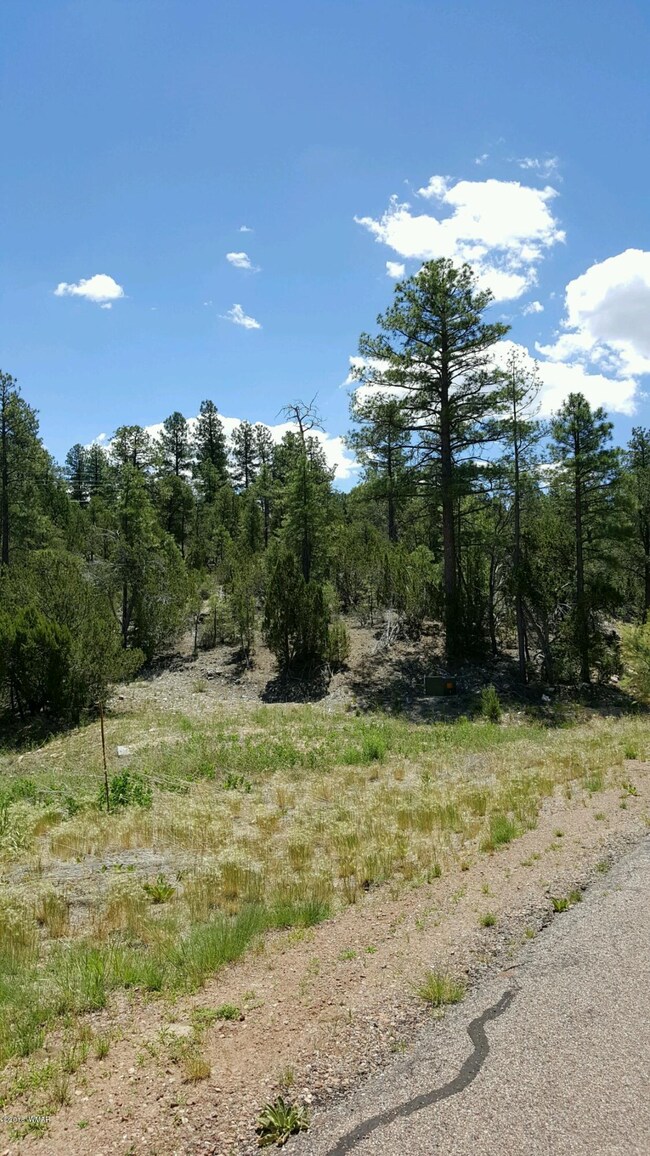 Sawmill pic 4
