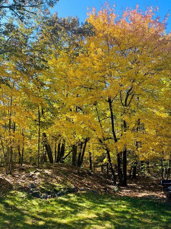 2 Rachel Way, Cape Neddick, ME 03902 - photo 6