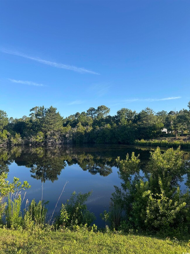 Water view