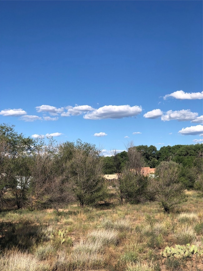 909 N Railroad Ave, Española, NM 87532 - photo 4