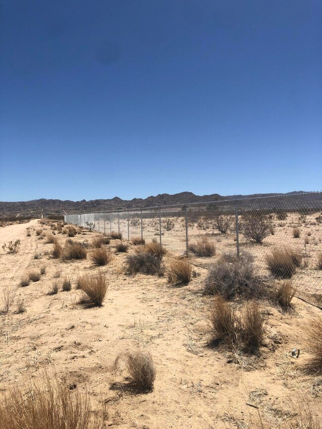 5320 Arizona Ave, Joshua Tree, CA 92252 - photo 4