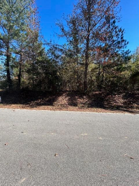 5485 Mayrant Rd, Rembert, SC 29128 - photo 4