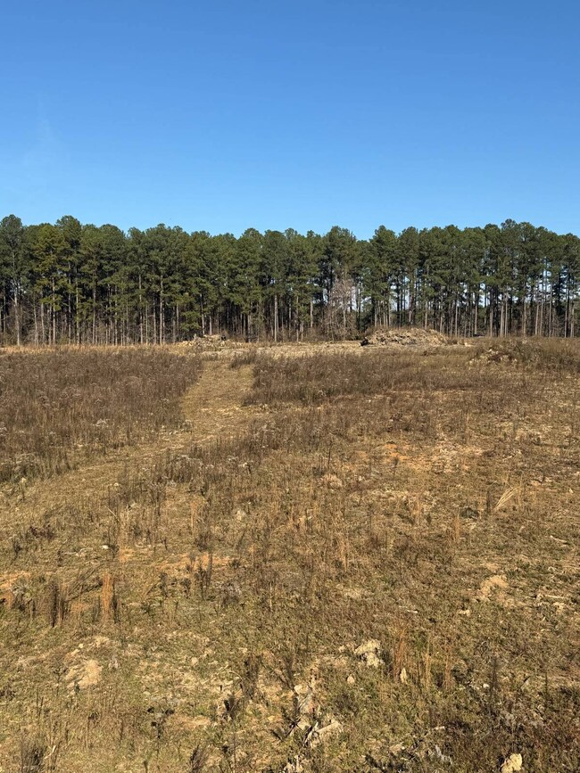 159 D B Williamson Rd # B, Louisville, MS 39339 - photo 7