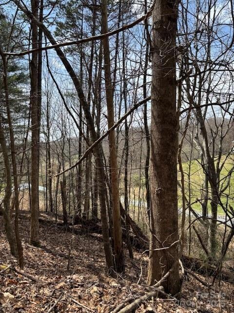 25 Green Meadow Ln unit 25, Mars Hill, NC 28754 - photo 4