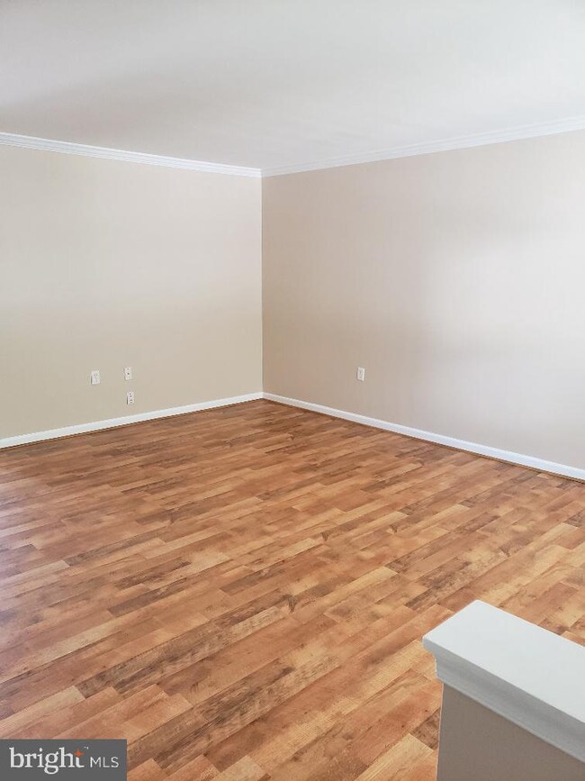 407 Hupps Hill Ct, Strasburg, VA 22657 - photo 4