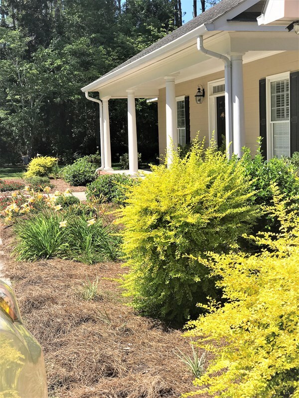 120 Berry Dr, Broxton, GA 31519 - photo 6