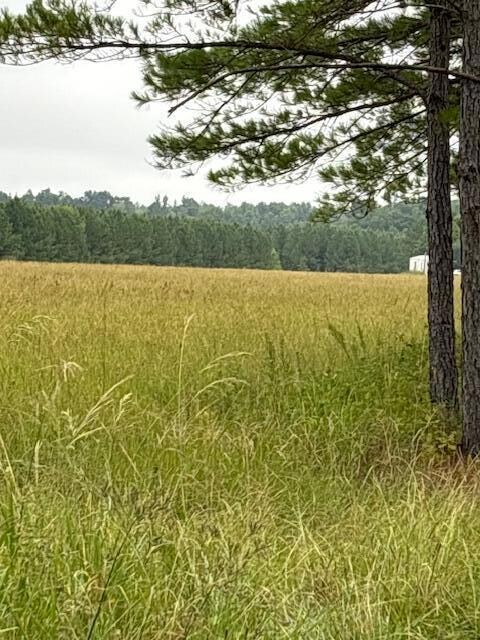 Pasture2