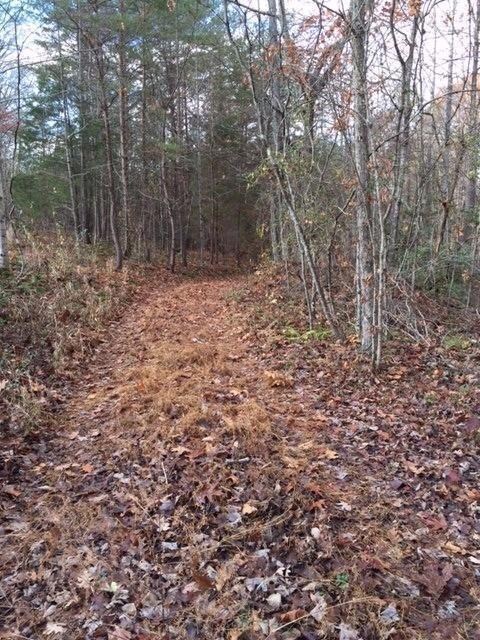 2700 Providence Rd, Somerset, KY 42501 - photo 6