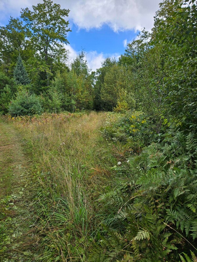 tree 2 track to back