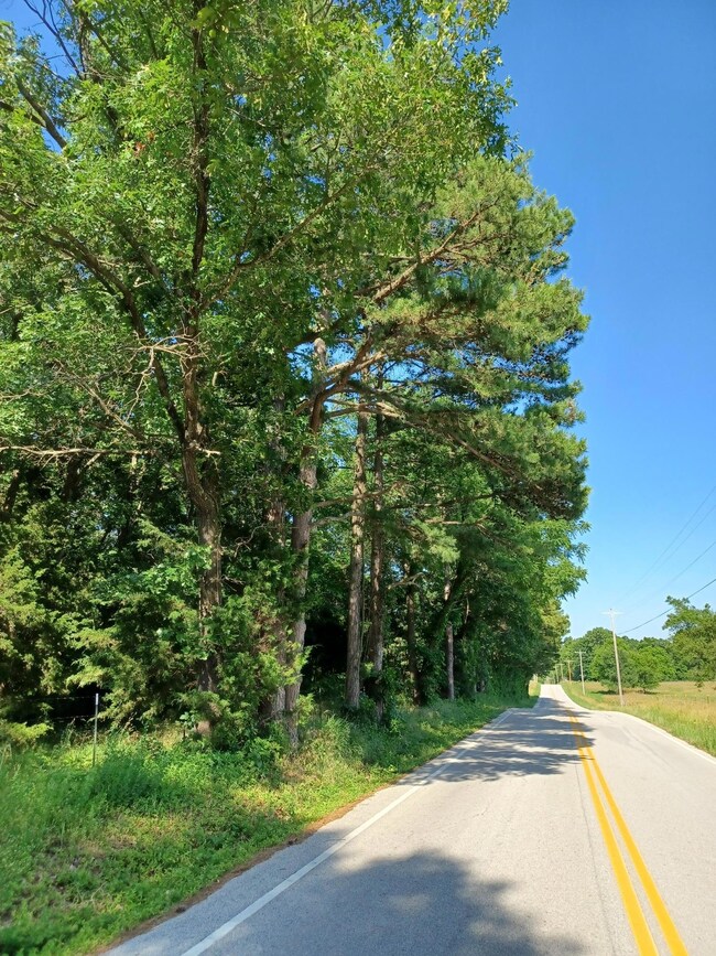 Looking East on FR 52