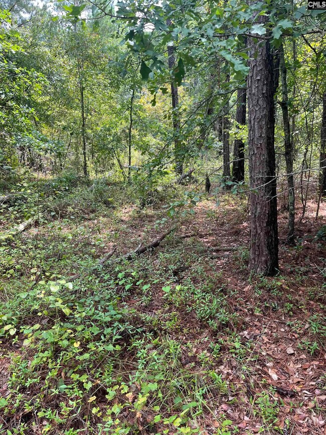 BHL 6 Boise Cascade Rd unit BHL 6, Bethune, SC 29009 - photo 6