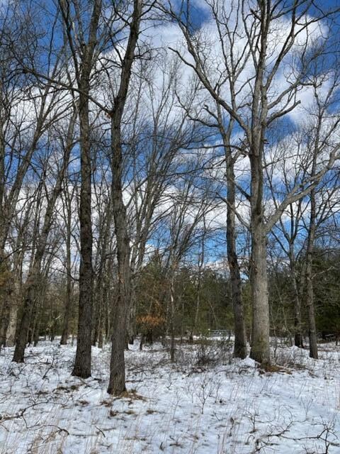 0 10 + - Acres Beaver Rd unit 22007967, Bitely, MI 49309 - photo 5