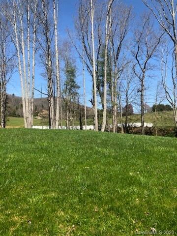 99999 Barebridge Dr unit 54 & 55, Burnsville, NC 28714 - photo 7