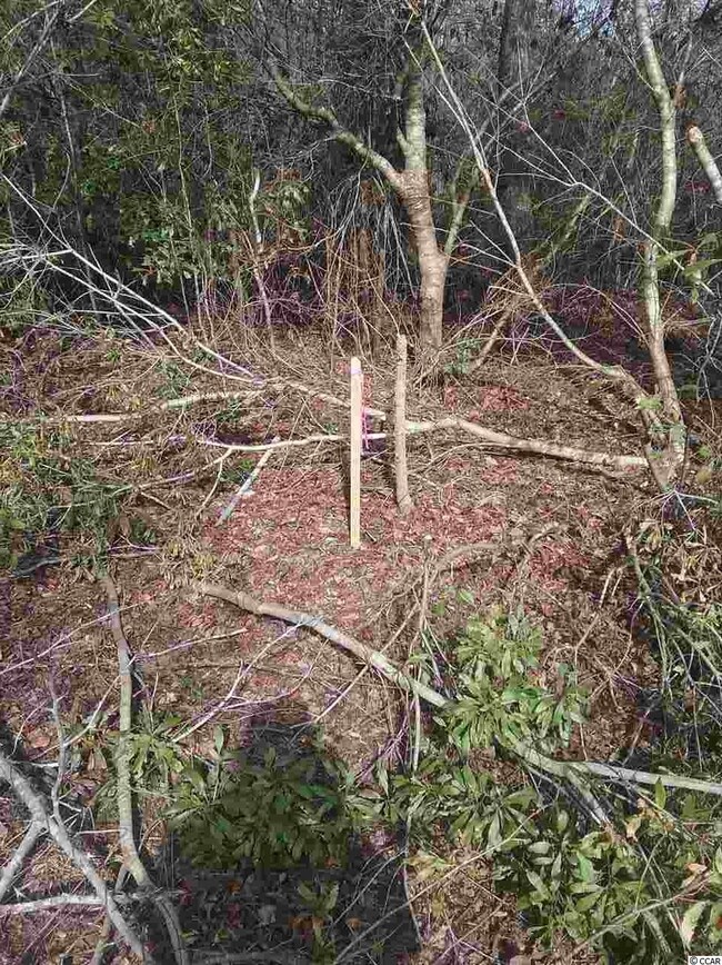 3766 Pee Dee Hwy unit Lot next to 3748 Pee, Conway, SC 29527 - photo 5