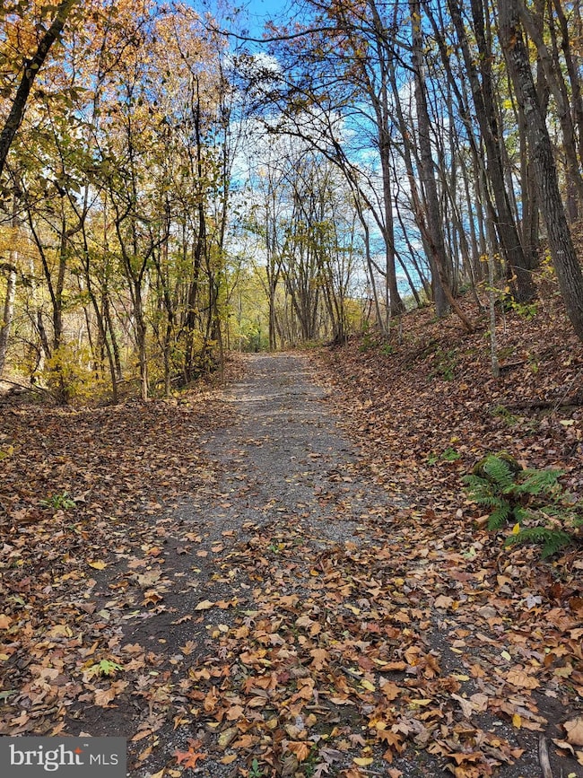 3536 J R Rannells Rd, Points, WV 26763 - photo 3