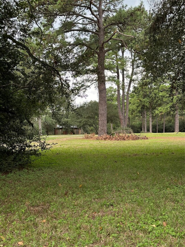 820 Baker Dr, Tomball, TX 77375 - photo 3
